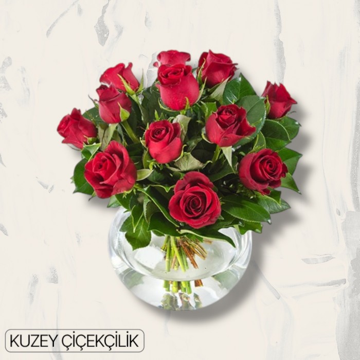 Akvaryumda 13 Kırmızı Gül