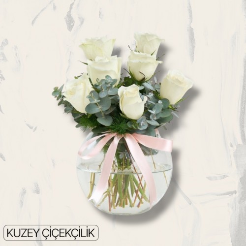 Akvaryumda 7 Beyaz Gül