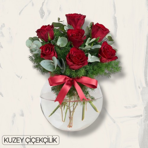 Akvaryumda 7 Kırmızı Gül