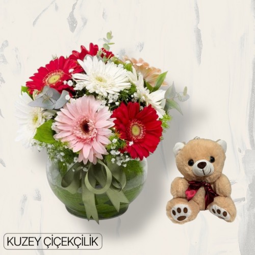 Akvaryumda Gerbera Ayıcık