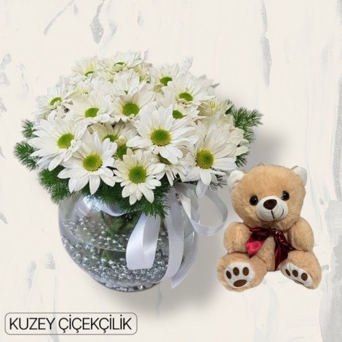 Akvaryumda Papatya Ayıcık