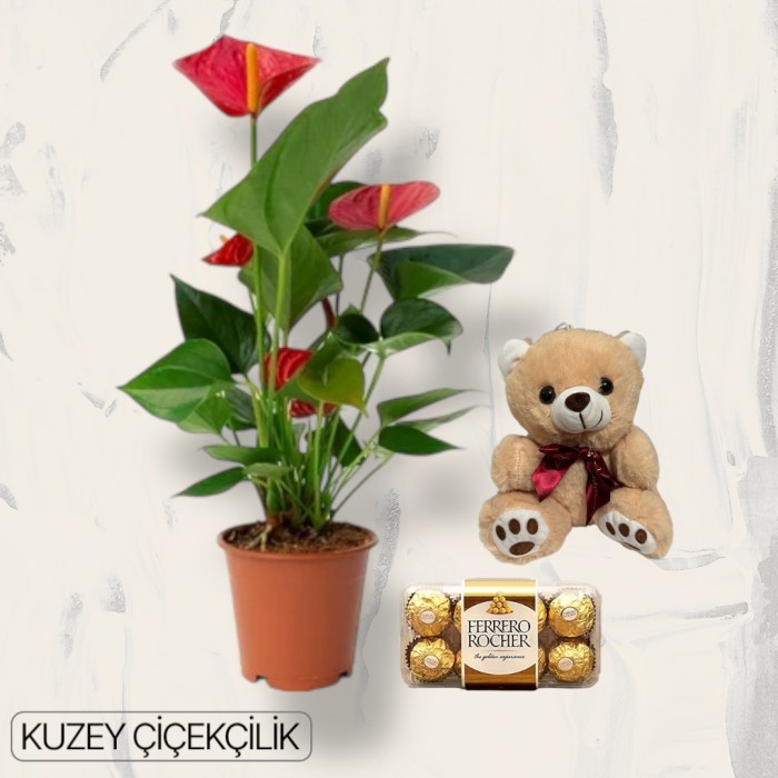 Antoryum Çiçeği Ayıcık 16lı Ferrero Çikolata