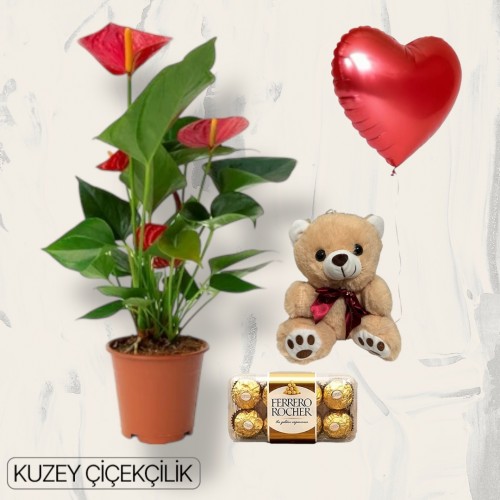 Antoryum Çiçeği Ayıcık 16'lı Ferrero Çikolata Kalp Helyum Balon