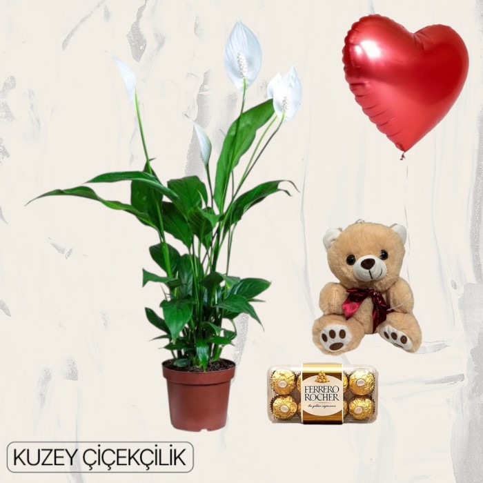 Beyaz Spatifilyum Çiçeği Ayıcık 16lı Ferrero Çikolata Kalp Helyum Balon