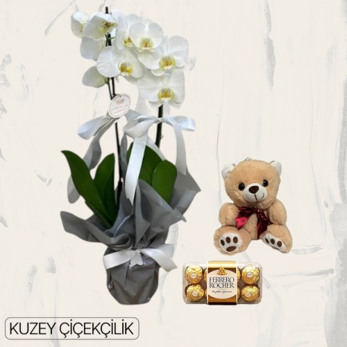 Çift Dal Beyaz Orkide Ayıcık 16'lı Ferrero Çikolata