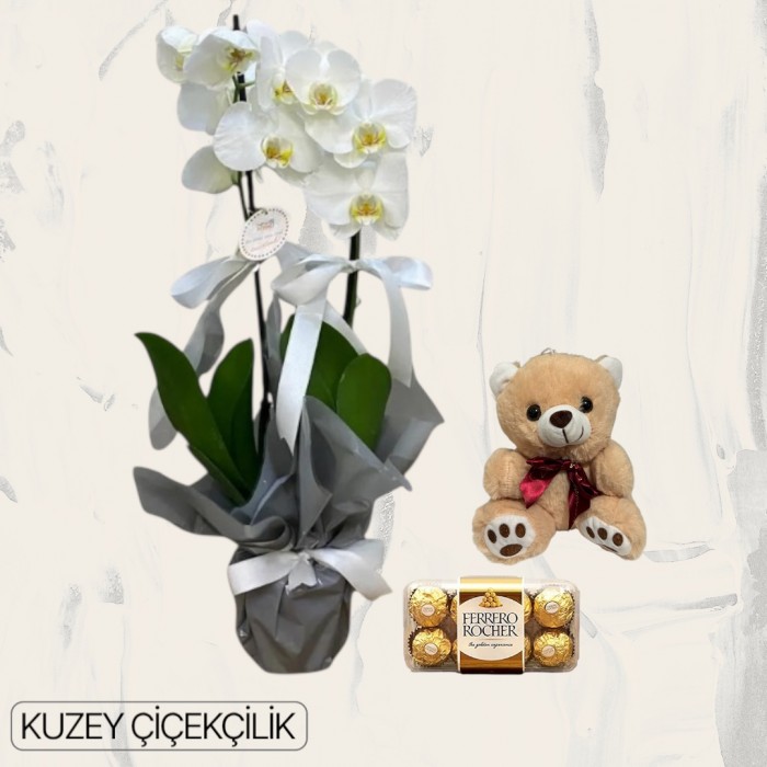 Çift Dal Beyaz Orkide Ayıcık 16lı Ferrero Çikolata