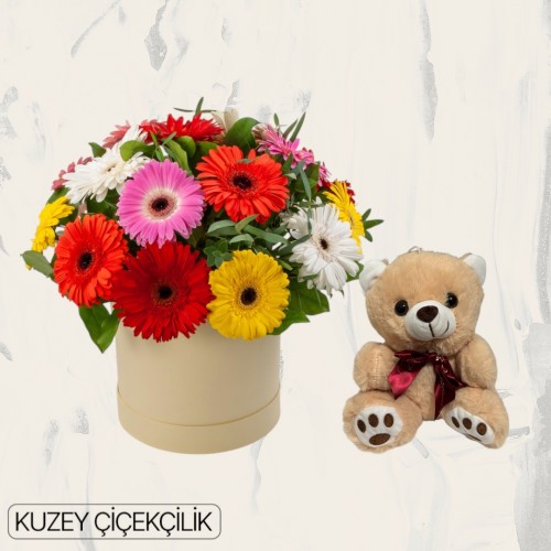 Kutuda Gerbera Ayıcık 