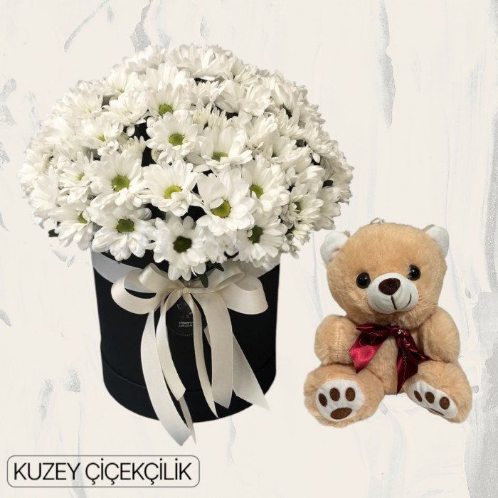 Kutuda Papatya Ayıcık