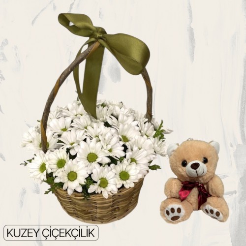 Sepette Papatya Ayıcık