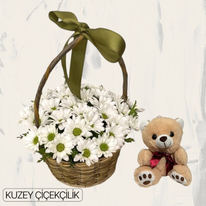 Sepette Papatya Ayıcık