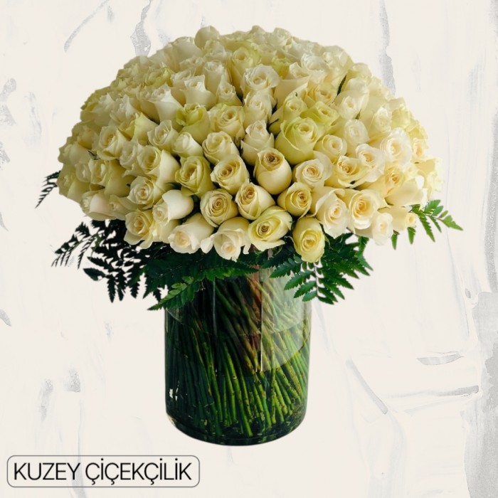 Vazoda 101 Beyaz Gül