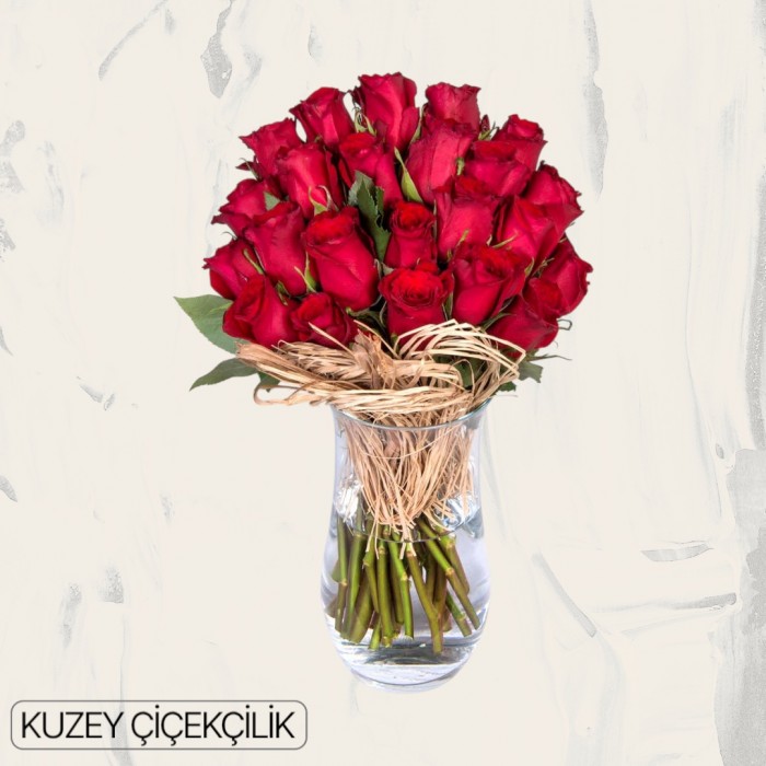 Vazoda 23 Kırmızı Gül