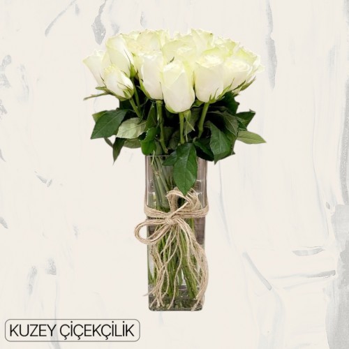 Vazoda 27 Beyaz Gül