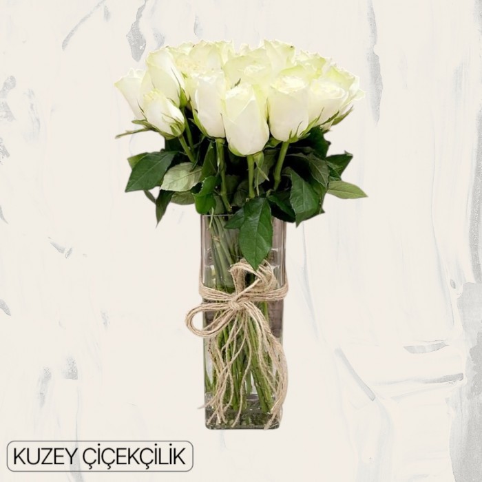 Vazoda 27 Beyaz Gül