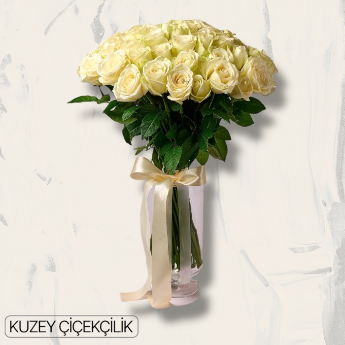 Vazoda 33 Beyaz Gül