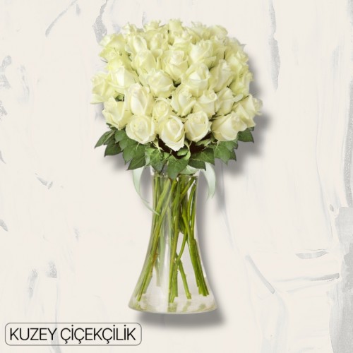 Vazoda 41 Beyaz Gül