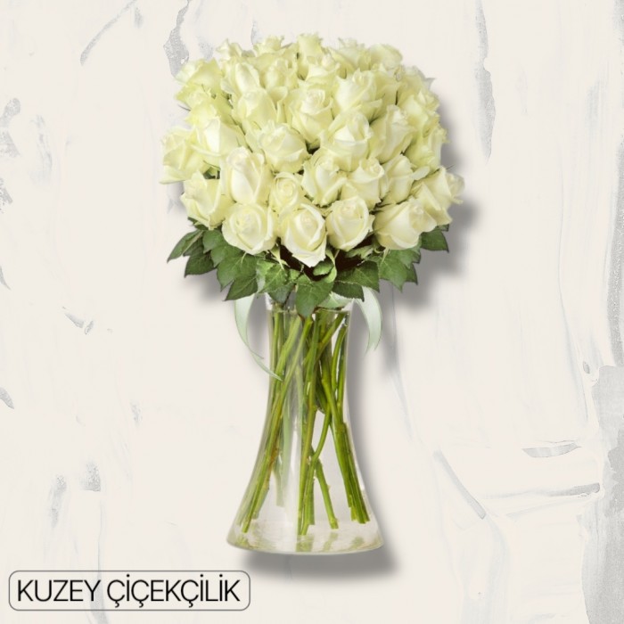 Vazoda 41 Beyaz Gül