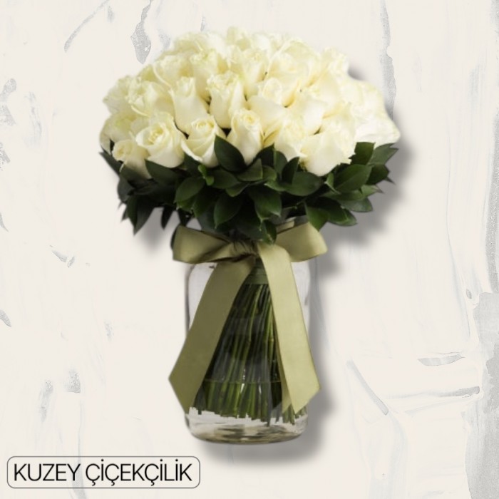Vazoda 51 Beyaz Gül
