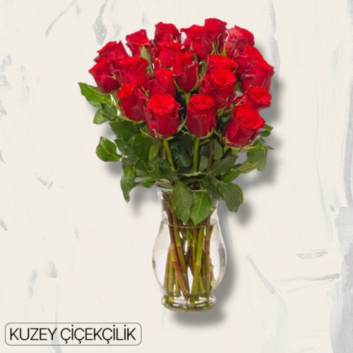 Vazoda 21 Kırmızı Gül
