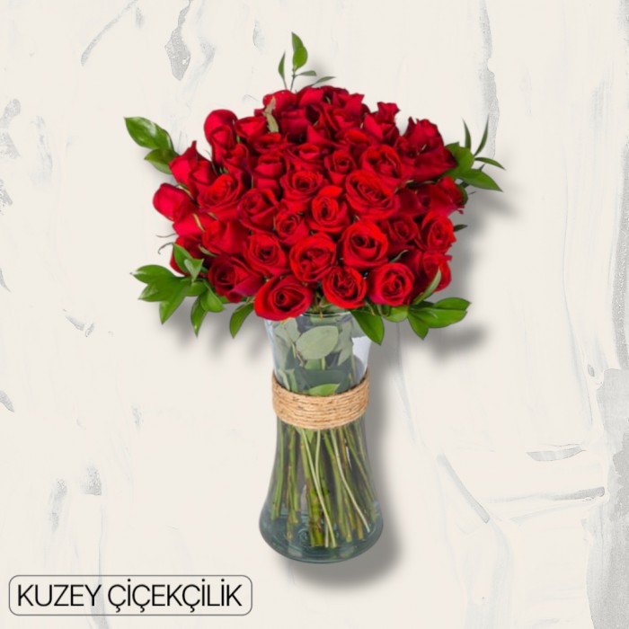 Vazoda 51 Kırmızı Gül
