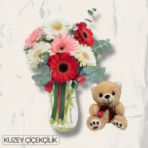 Vazoda Gerbera Ayıcık 