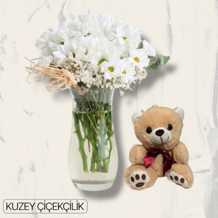 Vazoda Papatya Ayıcık